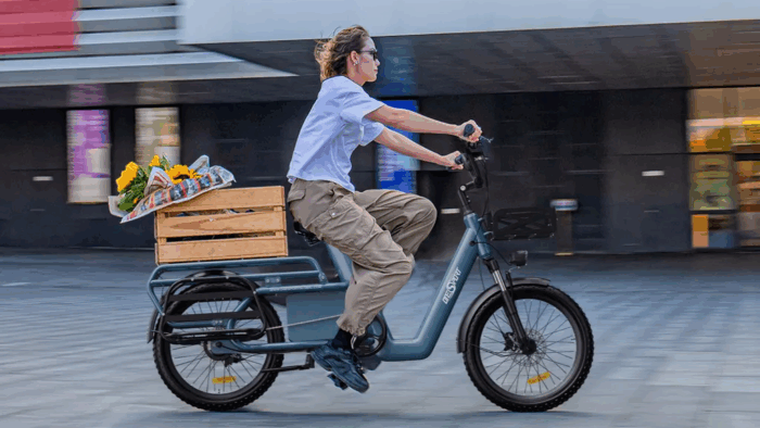 E-Bike Longtail Cargo-E-Bike Elektro-Lastenfahrrad fürfür eine große Familie 27Ah 25km/h Elektrofahrrad Herren Frauen – Bild 7