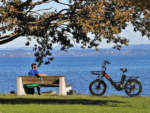 20.8Ah 20 Zoll ebike E-Bike City E-Bikes & E-Hollandräder Elektrofahrrad Tire für Schnee, Stadt, Strand 90KM Reichweite & 150KG Belastung E-Klapprad – Bild 10