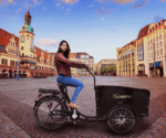 SachsenRAD E-Lastenrad T1 Grand Trunk, Flexible Transportbox mit Versteckter,Abschließbarer Box mit LCD Display und StVZO-Zugelassung, Kindertransport – Bild 6
